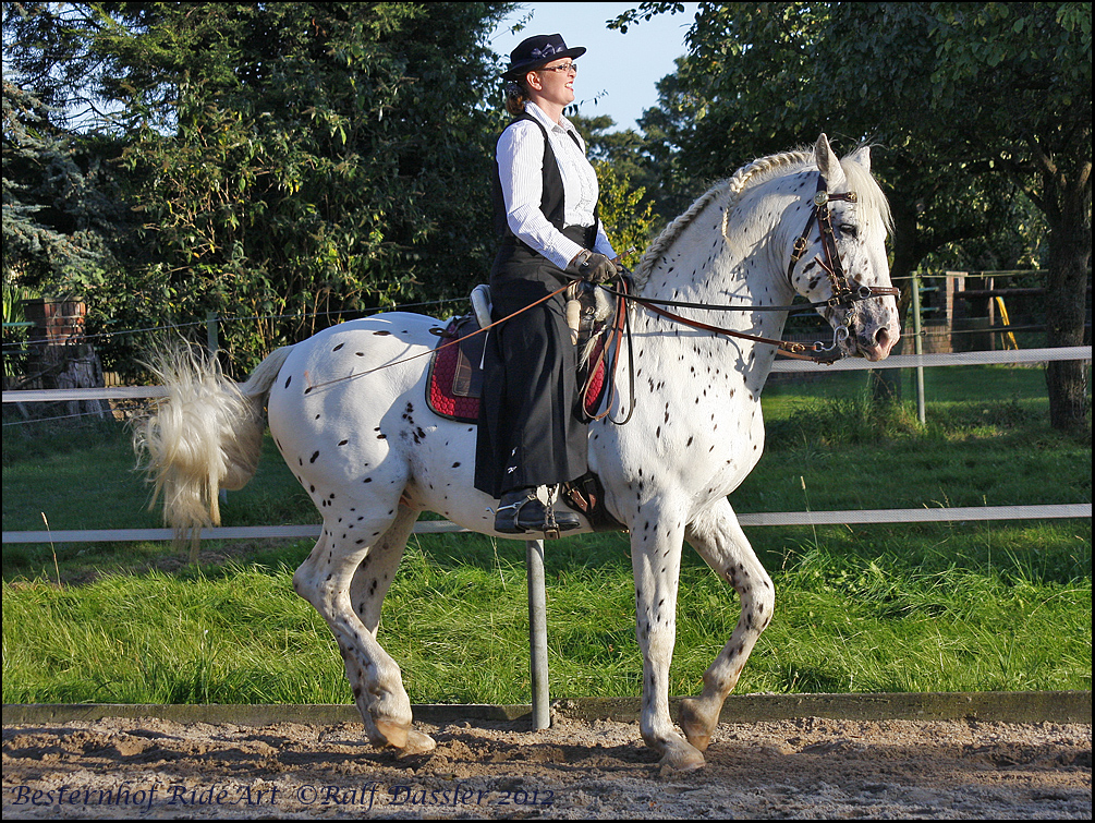 Motivation Reiten