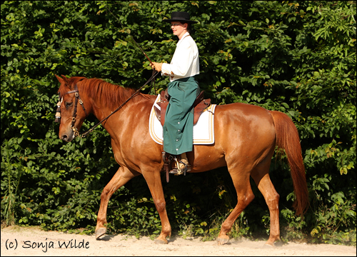 Reiten auf Kandare