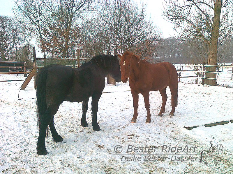 Eindecken im Winter