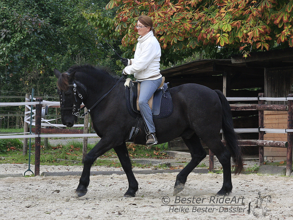 Reiten in Aufrichtung