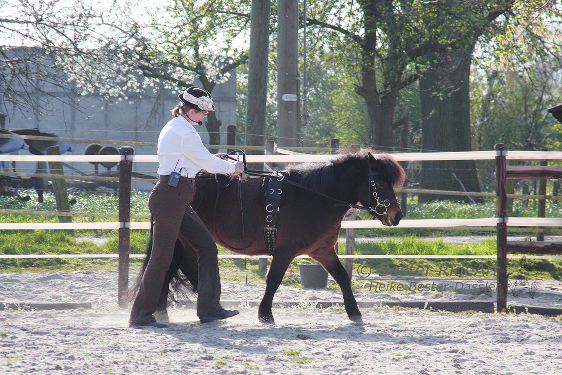 Heike Bester-Dassler mit Shettlandpony Gino