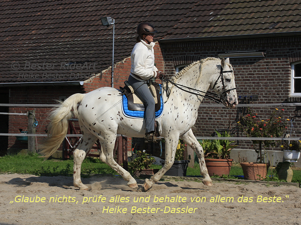 Heike mit Lobo im Galopp