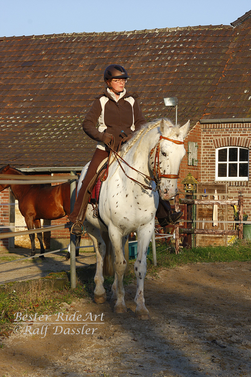 Heike und Lobo im Schulterherein auf 4 Hufspuren