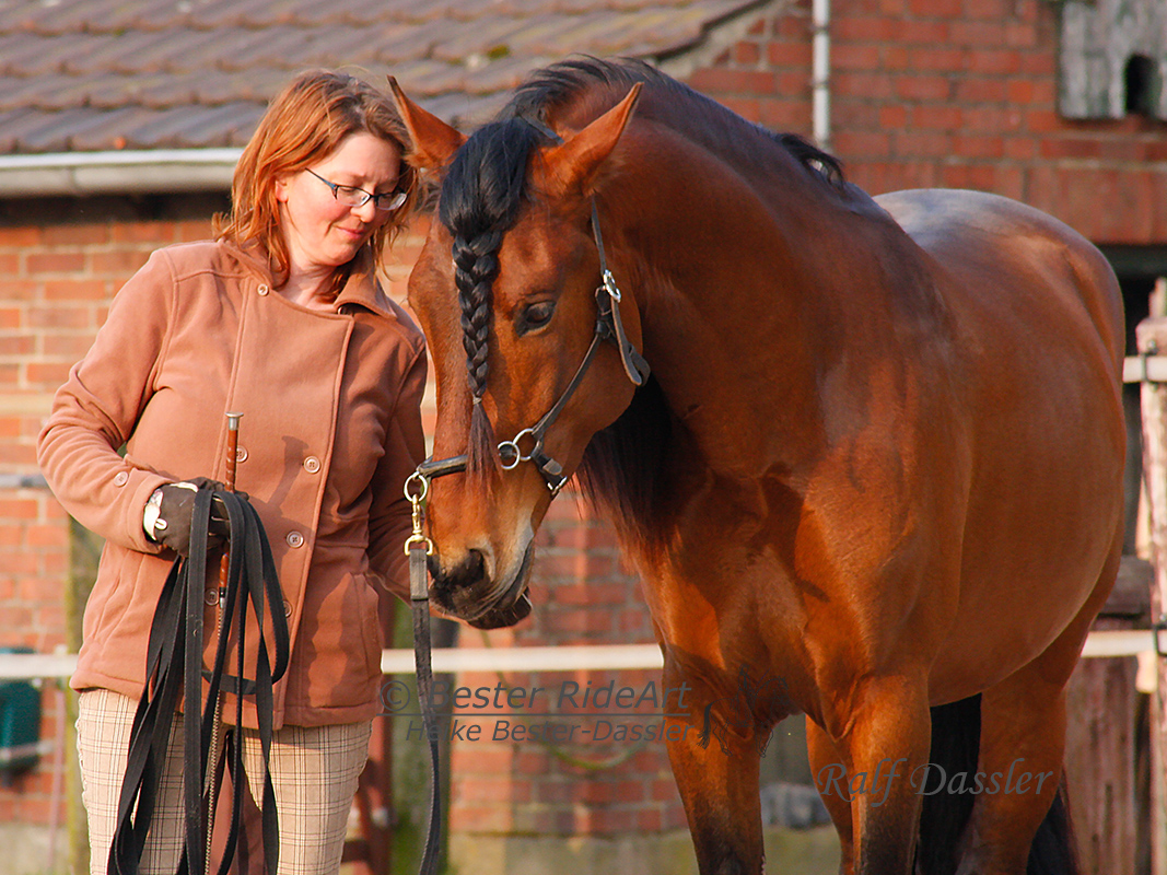 Heike und Rayo Longieren